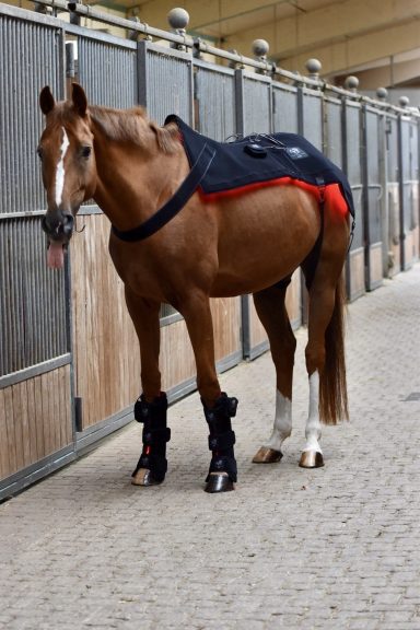 LuxMy Sorglos Paket LuxMy Lichttherapie-Set – Decke & Gamaschen SET HOCH für die ganzheitliche Behandlung.