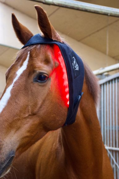 LuxMy Genick Pad LuxMy Lichttherapie Genick-Pad – Präzise Hilfe bei Genickproblemen