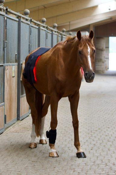 LuxMy Lichttherapie Starter-Set LuxMy Lichttherapie Starter-Set