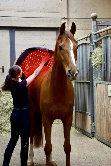 LuxMy Lichttherapie XL-Pad LuxMy Lichttherapie XL-Pad