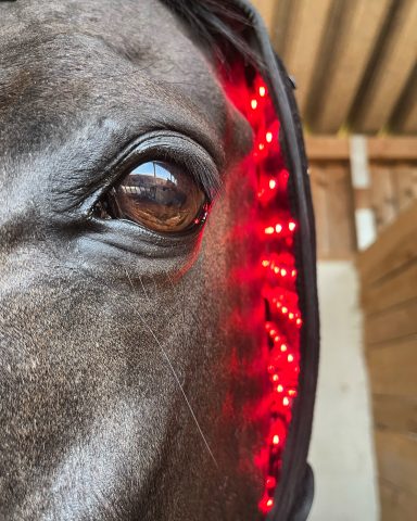 LuxMy Lichttherapie L-Pad – Großflächig & vielseitig. LuxMy Lichttherapie L-Pad – Großflächig & vielseitig.